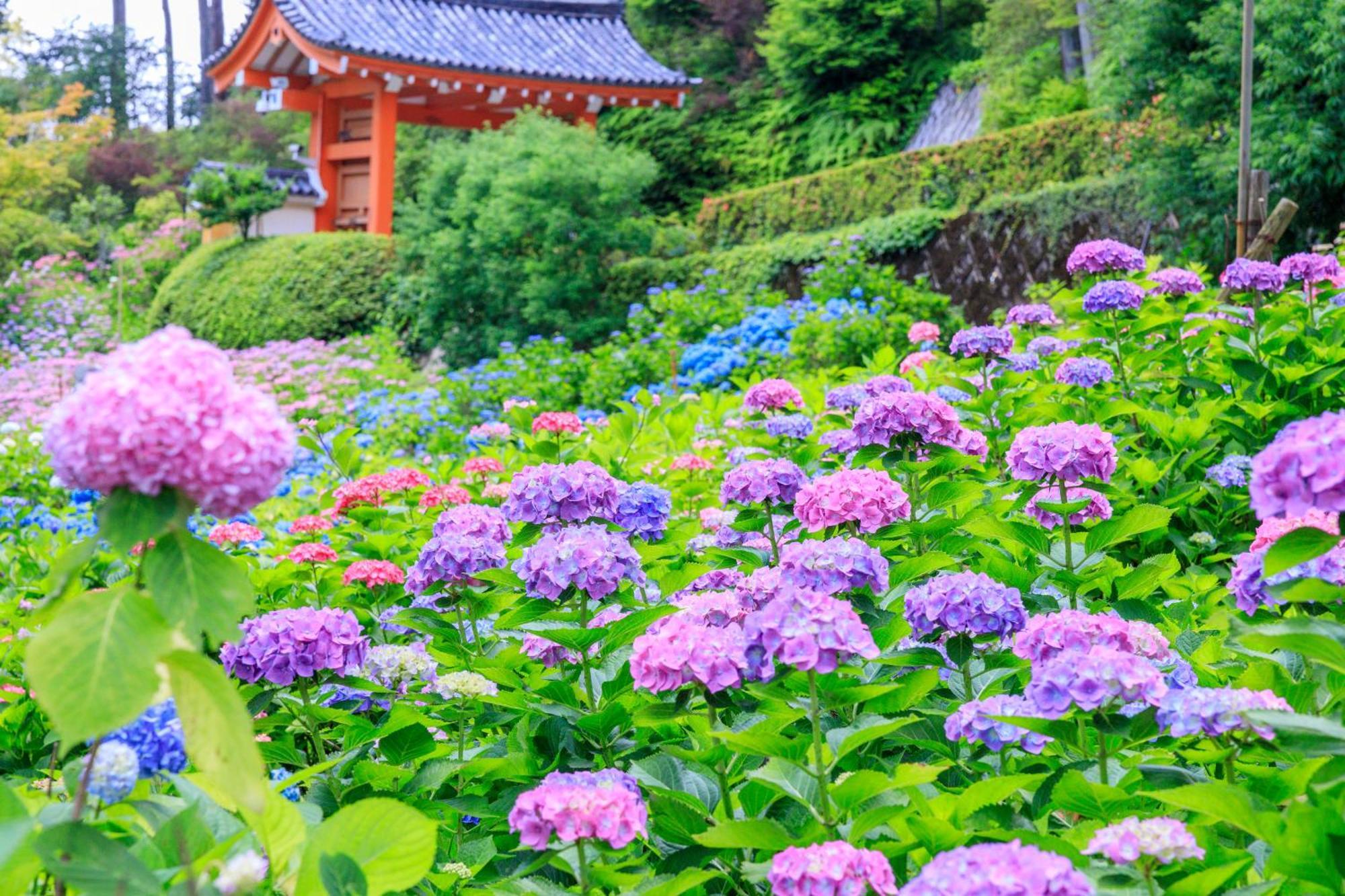 Mimaru Suites Kyoto Shijo Kültér fotó